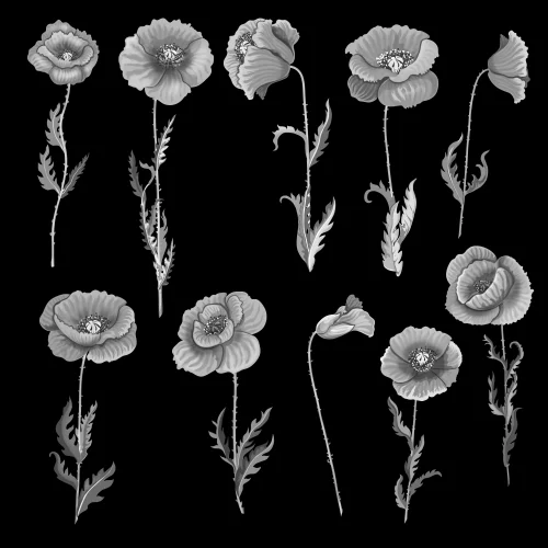 Цветок 027 (маки)