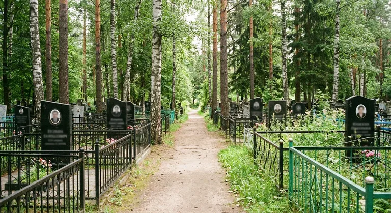 Троекуровское кладбище