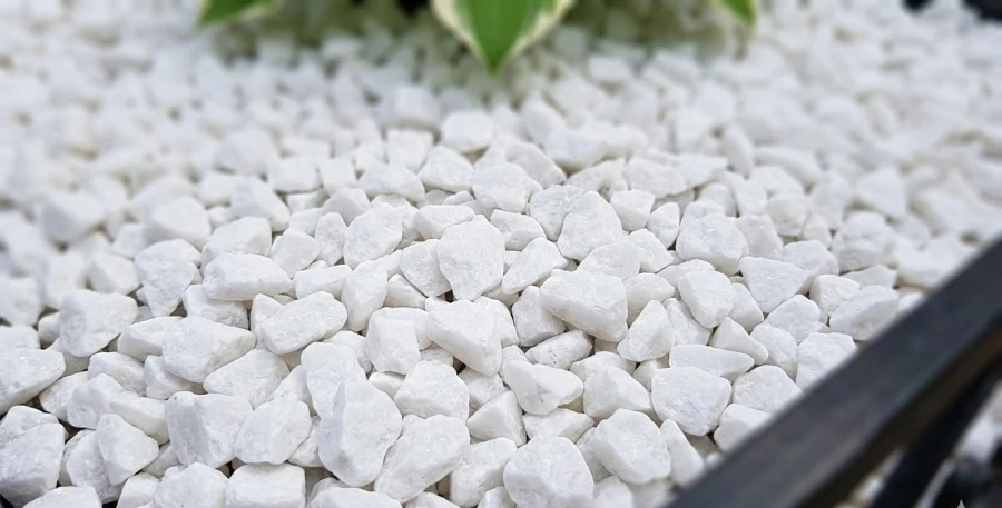 mramornaya-kroshka-koelga-na-kladbishche